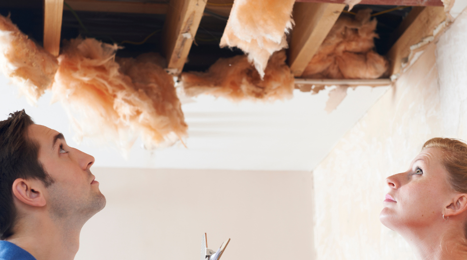 Should You Attend Your Client's Home Inspection A REALTOR's Guide (3) Should You Attend Your Client's Home Inspection A REALTOR's Guide (3)
