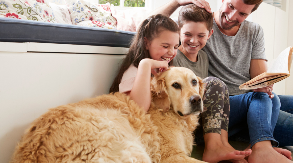 How to Sell Your House with Pets Simple Tips for a Quick Sale (1)