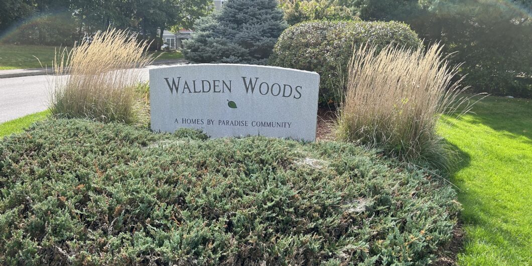 Walden Woods