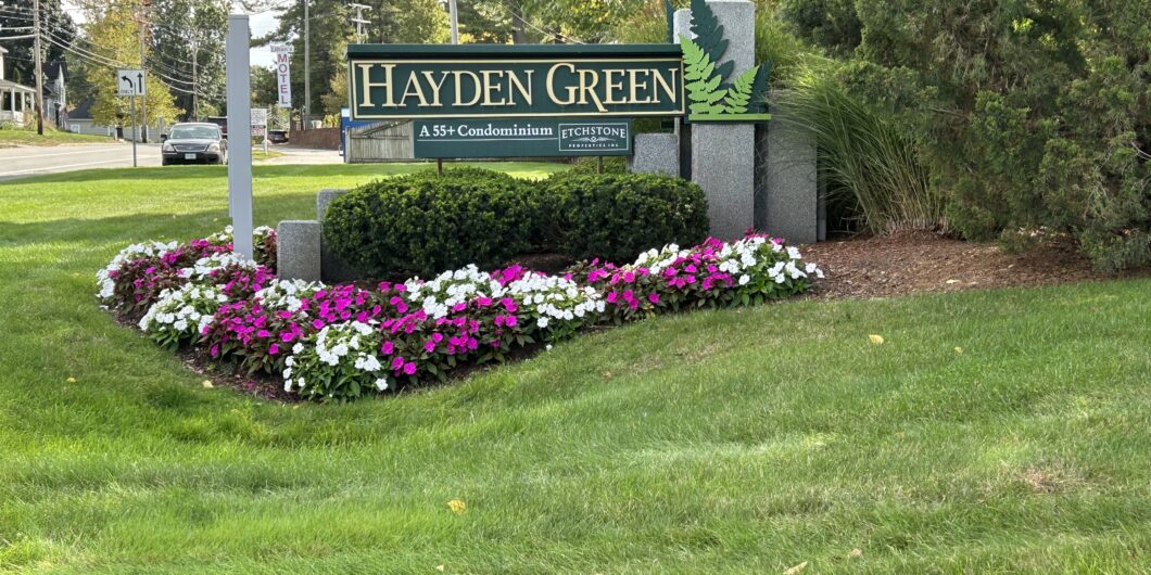 Hayden Green