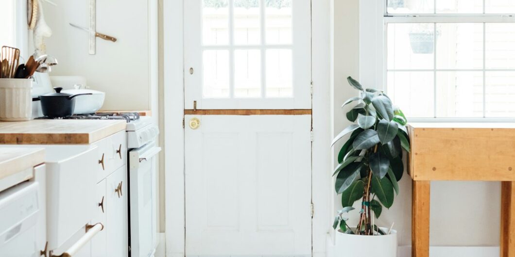 green potted leaf plant beside white wooden door