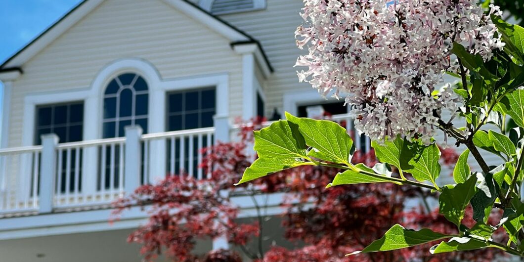 Photo by Brad Weaver a tree with pink flowers in front of a white building