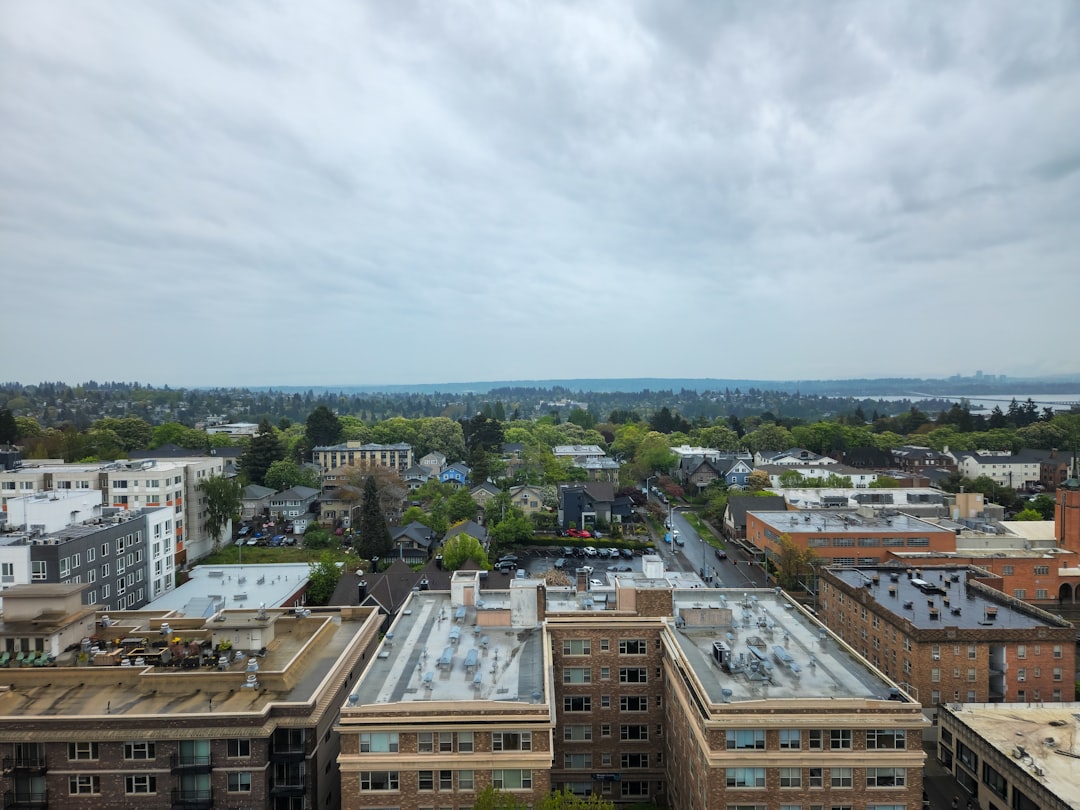 A view of a city from the top of a building