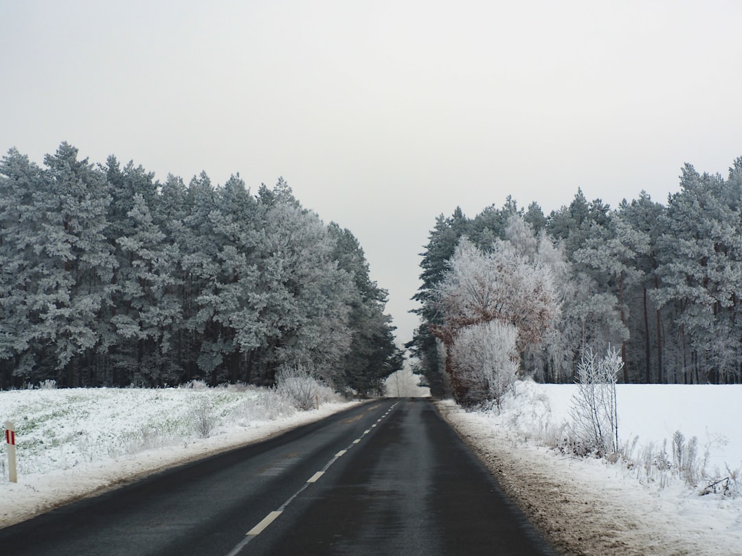 a road with snow on the ground and trees in the background