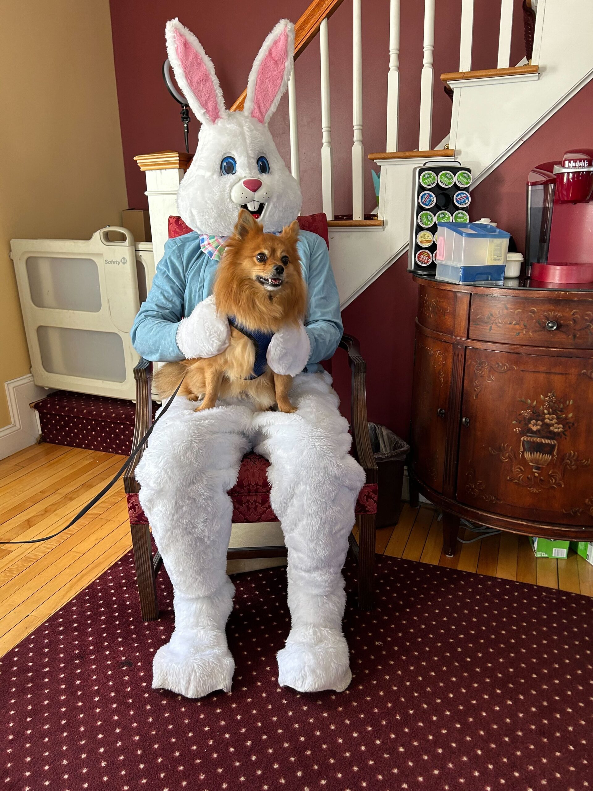 Easter Bunny Event NH Family Fun in Hudson (3)